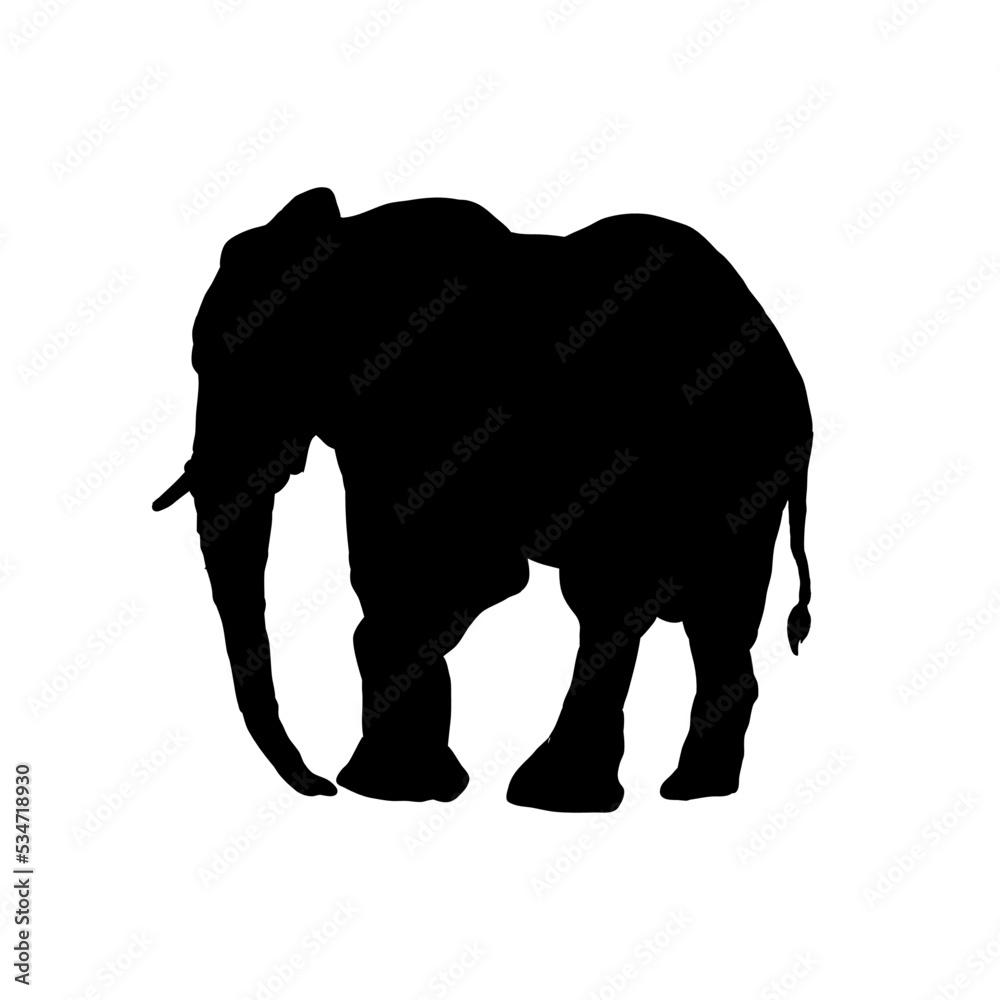 Sylwetka słonia, słoń - ilustracja wektorowa - obrazy, fototapety, plakaty 