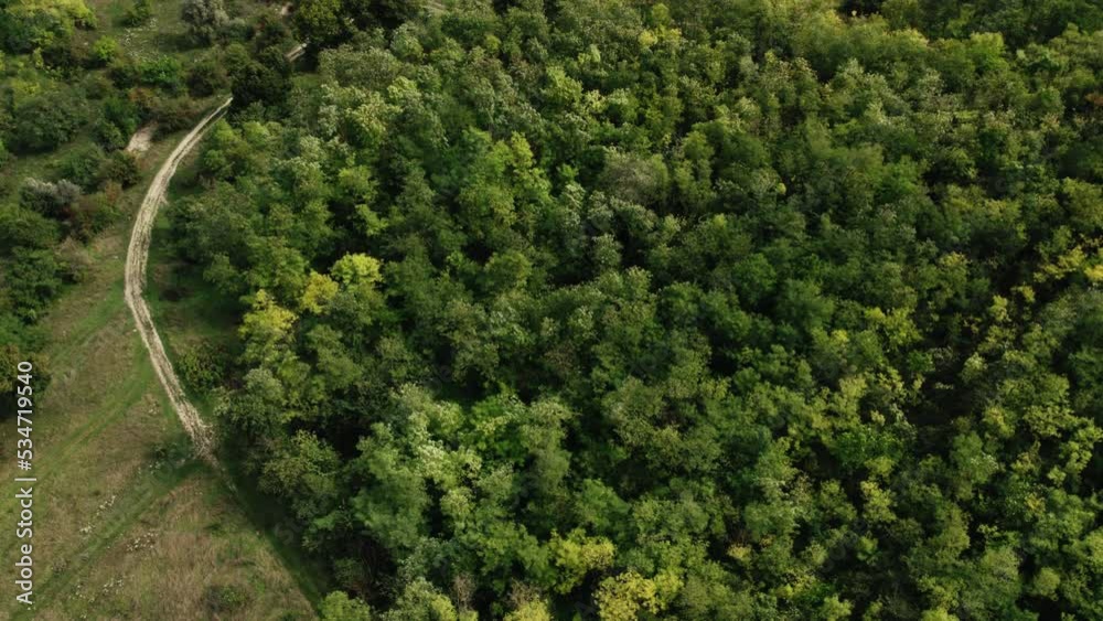 Cinematic aerial top down view of green and yellow trees in the forest and rural road. Drone shot of a green autumn forest. Cinematic aerial top down view of green and yellow trees in the forest and rural road. Drone shot of a green autumn forest.