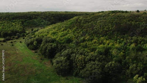 Cinematic aerial top view of the green and yellow trees in the windy autumn forest. Drone shot of a small windy field and cloudy autumn sky.