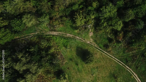 Cinematic aerial top view of the empty country road between green and yellow trees on the autumn field near the forest. Drone shot of a country road in forest.