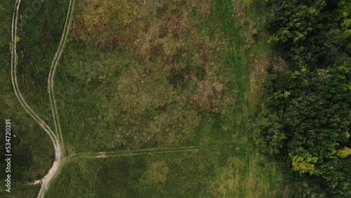 Cinematic aerial top down view of the empty country road between green and yellow trees on the autumn field near the forest. Drone shot of a country road in forest.