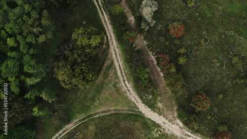 Cinematic aerial top down view of the empty country road between green and yellow trees on the autumn field near the forest. Drone shot of a country road in forest.