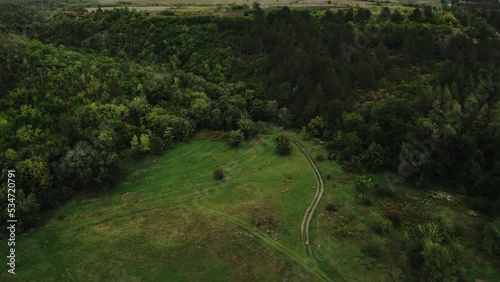 Cinematic aerial top down view of the empty country road between green and yellow trees on the autumn field near the forest. Drone shot of a country road in the forest and cloudy sky.
