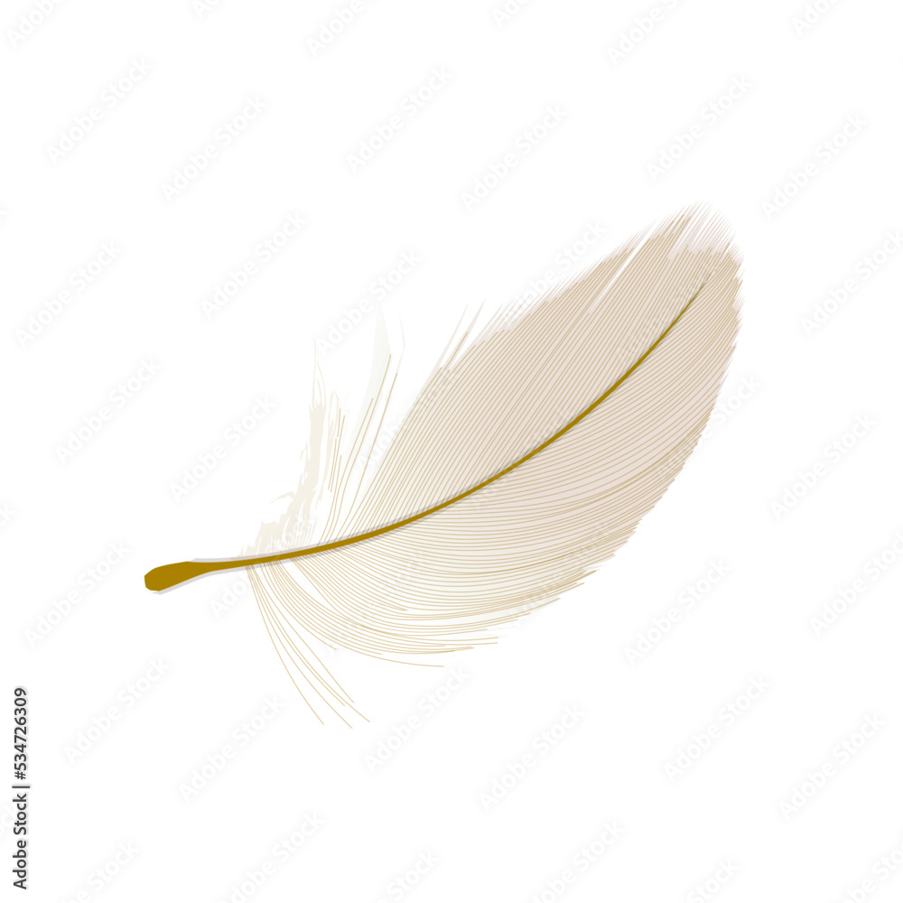 Obraz premium Realistic bird feather