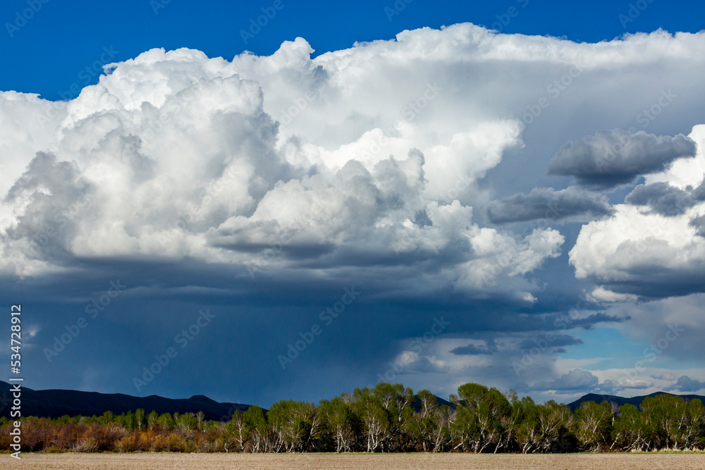 Usa, Idaho, Bellevue, Big cumulus clouds above green field Usa, Idaho, Bellevue, Big cumulus clouds above green field