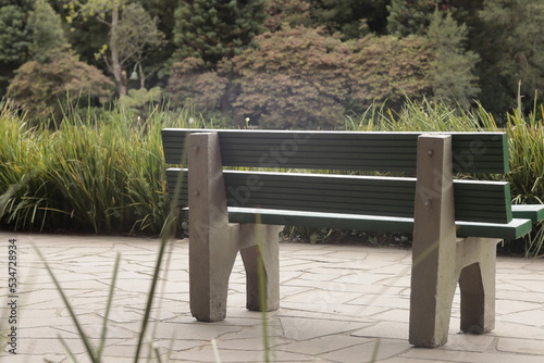 Park bench on any given day