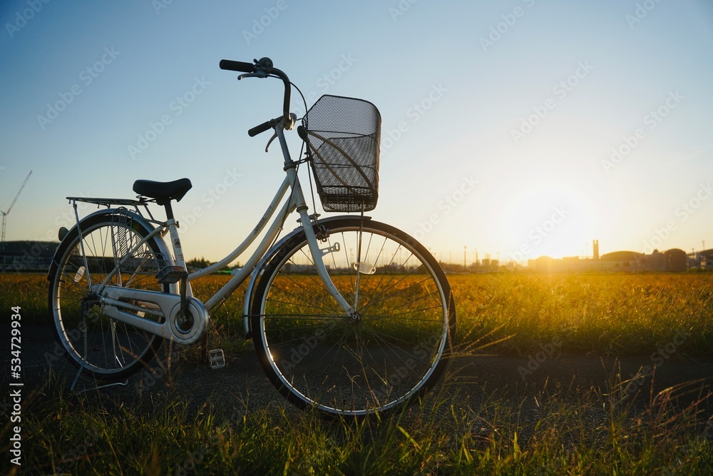 Naklejka premium sunset and bicycle