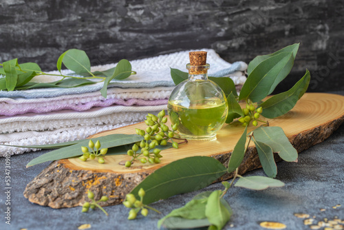 Obraz na płótnie Eucalyptus essential oils in glass bottle ,oganic herbal aromatherapy concept .Eucalyptus Essential Oil: Ingredients for cosmetics, body massage and spa. w salonie