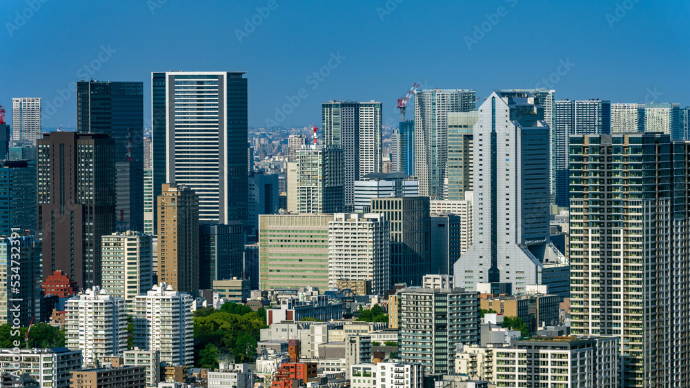 Panoramic view of Tokyo city view at daytime.	