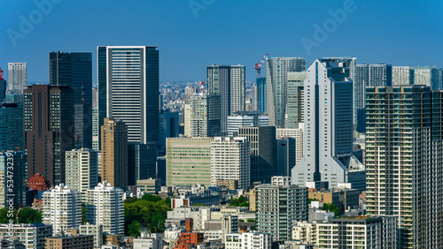 Panoramic view of Tokyo city view at daytime. 