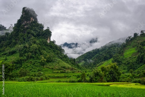 Spectacular Mountain behind Rice Field, Lao Nature on the way to the north. Beautiful mountain and forest. High quality photo