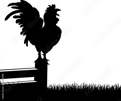 An illustration of chicken cockerel crowing in silhouette standing in the foreground