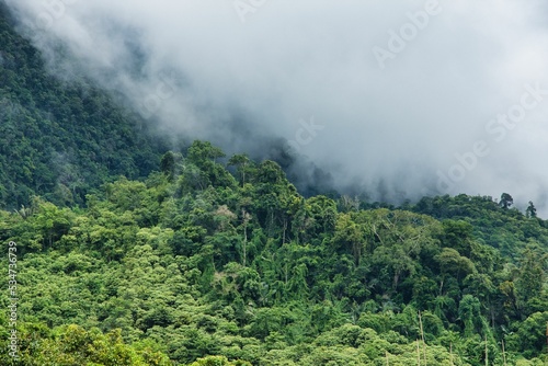 Dramatic Jungle at Laos with fog. Lao Nature on the way to the north. Beautiful mountain and forest. High quality photo