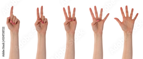 Five counting female hands isolated on transparent background