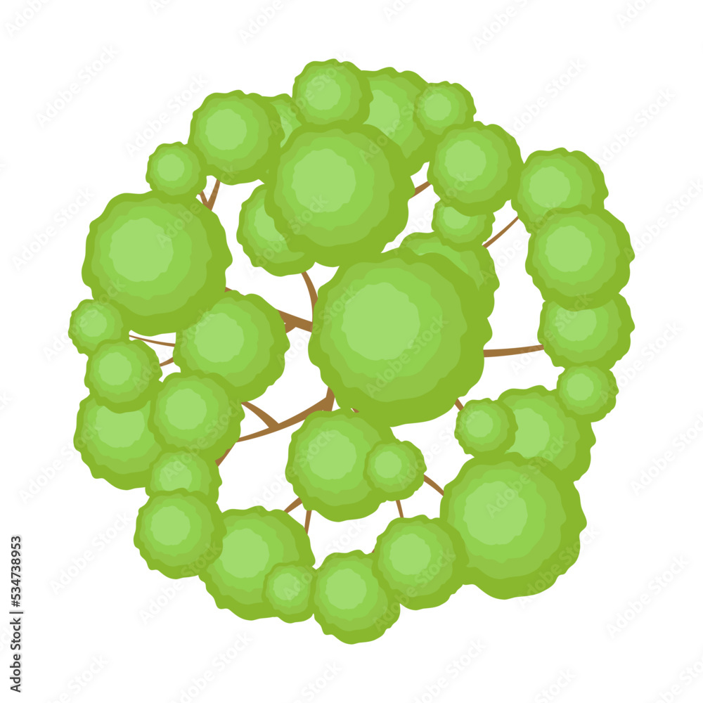 Tree Vector Aerial Top aerial view, green foliage, park, forest, garden plants isolated on ...