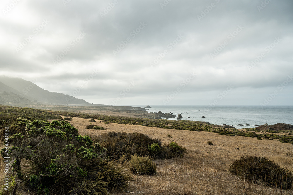 Low Open Pasture Along California Coast