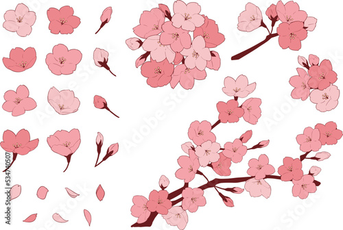 桜の花のイラストセット