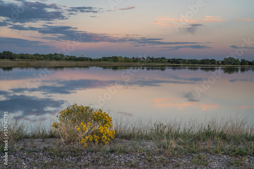 dusk over lake in Colorado back country with rabbit brush bush, fall scenery in Arapaho Bend Natural Area photo