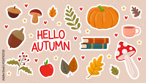 Autumn leaves and books flat vector illustrations set. Collection of cute autumn stickers, mushrooms, leaves, pumpkin, apple, tea cup isolated on grey background. Autumn or fall concept