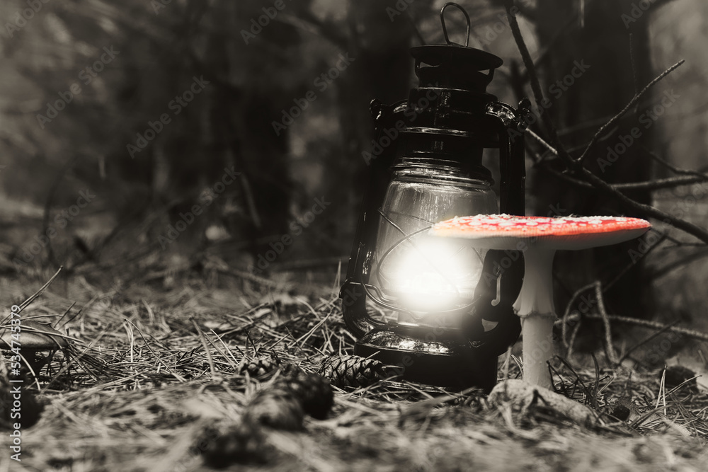 Fototapeta premium Laterne - Beautiful - Red Fly Agaric Mushroom in Forests - Amanita Muscaria - Toadstool - Close-Up - Herbst Stimmung - Waldpilz - Glückspilz - Fliegenpilz - Colorkey - Background - High Quality Photo