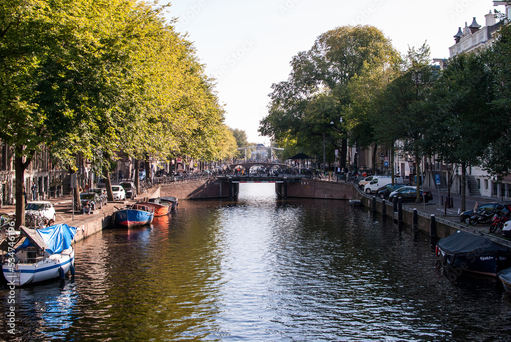 Fototapeta premium canal con agua y embarcaciones y árboles a los lados y puente al fondo en amsterdam, países bajos, holanda
