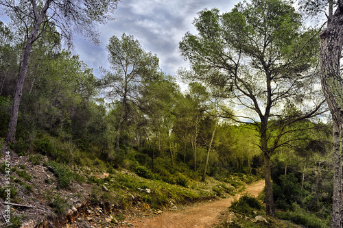 sendero de montaña