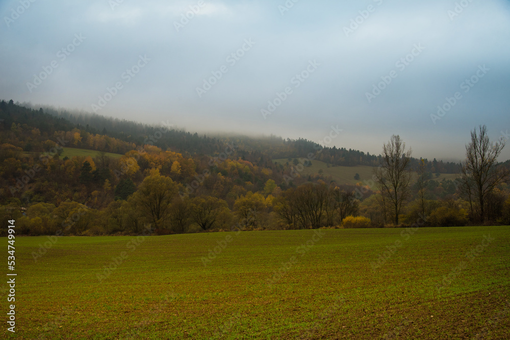 Autumn forest in Slovakia