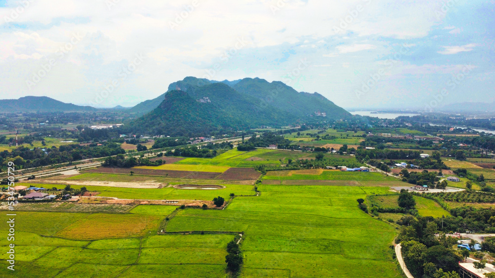 青々と茂る大自然の田園風景　タイ・カンチャナブリー