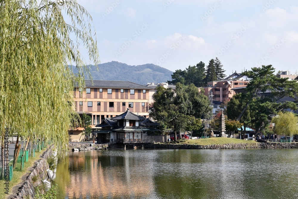 奈良公園猿沢の池