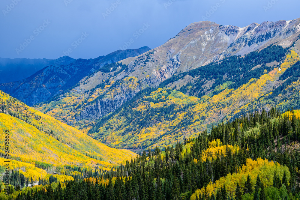 Fototapeta premium Beautiful Autumn Color in the Colorado Rocky Mountains. Peak fall foliage on the Million Dollar Highway near Ouray, Colorado