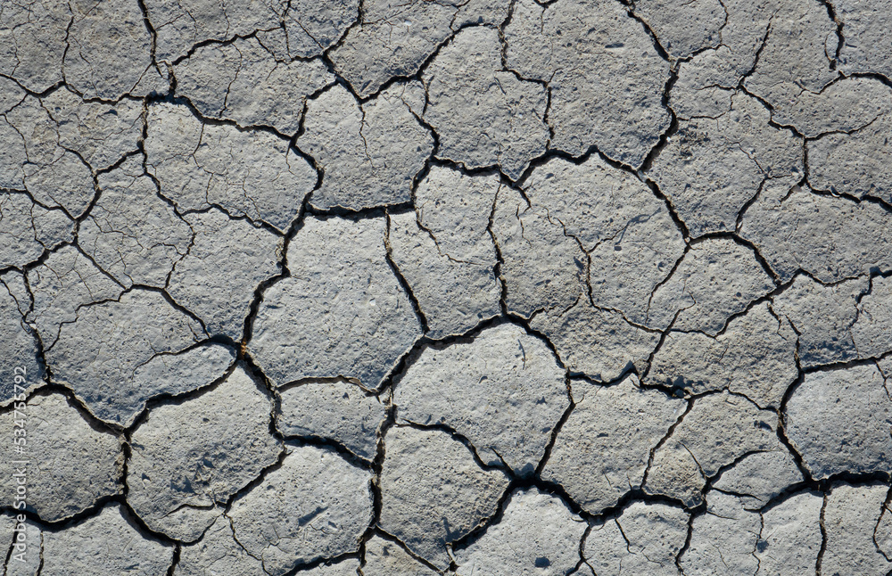 Mud with cracks Mud with cracks