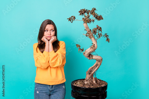 Photo of young adorable nice attractive cute woman upset nervous look her old flower got no keeping water dryed isolated on aquamarine color background photo