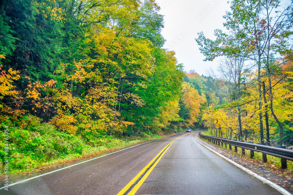 Fototapeta premium Road across the forest in foliage season on a rainy day