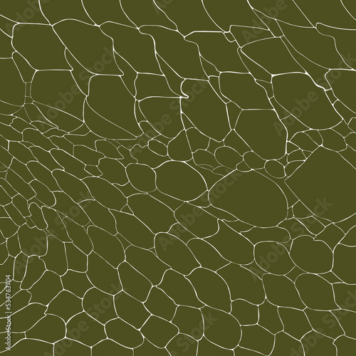 Crocodile or alligator skin print pattern seamless. Crocodile or alligator skin for fashion, wallpaper or background and more.