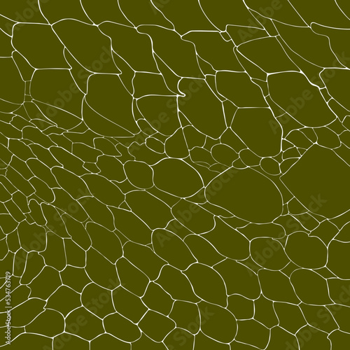Crocodile or alligator skin print pattern seamless. Crocodile or alligator skin for fashion, wallpaper or background and more.