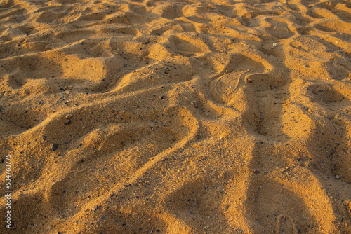 foodprints in the sand