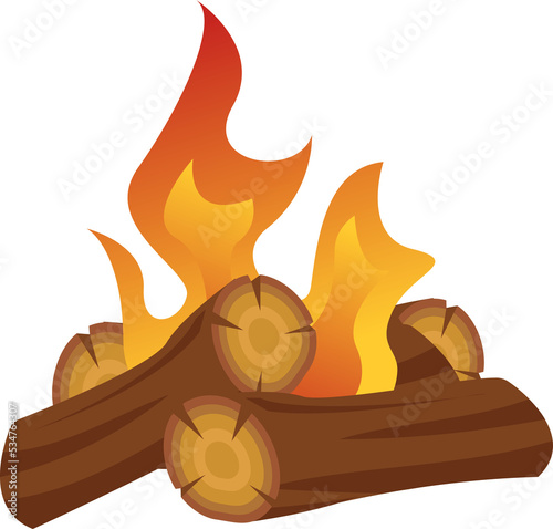bonfire and timber firewood