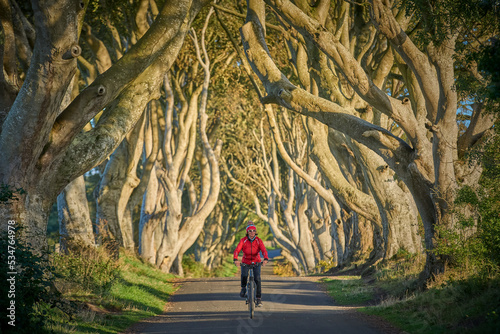 Εκτύπωση καμβά nice senior woman cycling in the famous beech avenue of Dark Hedges near Bushmil
