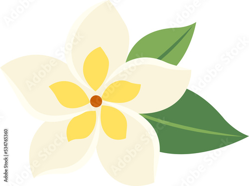 Obraz na plátně botanic flower frangipani