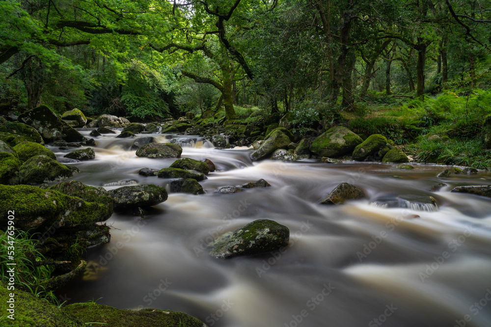 idyllic and lush forest woodlands scene with a river fowing through it over rocks and boulders idyllic and lush forest woodlands scene with a river fowing through it over rocks and boulders