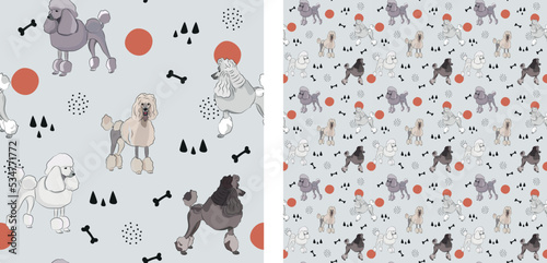 Seamless dog pattern, cute. Square format texture, t-shirt, poster, packaging, textile, socks, textile, fabric, decoration, wrapping paper. Trendy hand-drawn poodle dogs. Gift box pattern.