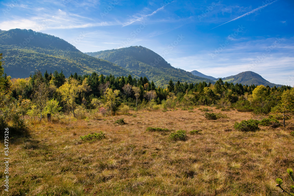 Hochmoor Landschaft Naturreservat Kendlmühlfilzen bei Grassau in Bayern, Deutschland mit den Alpen im Hintergrund