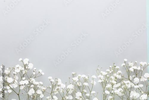 Beautiful flower background of pink gypsophila flowers. Flat lay, top view. Floral pattern. photo
