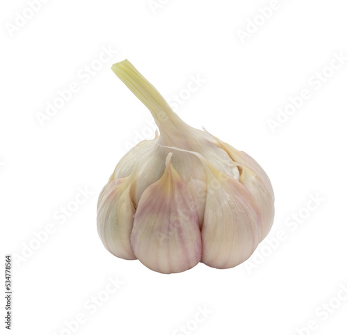 Garlic isolated on white background. © gitusik
