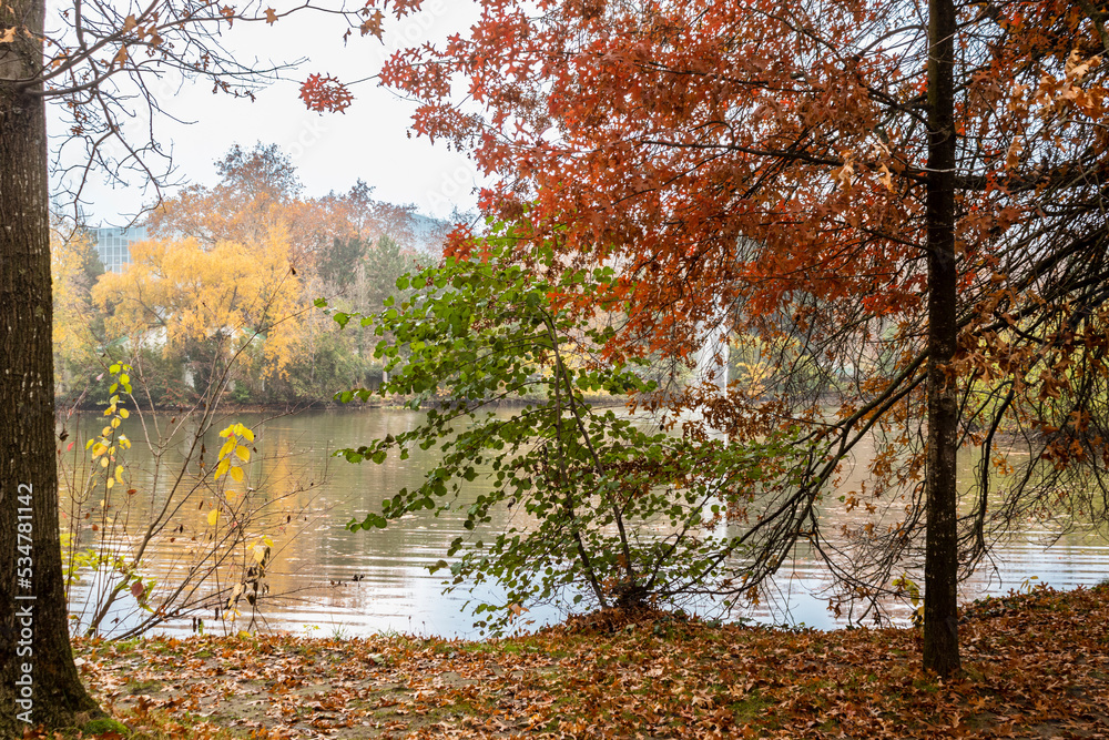 Autumn colors in Toulouse, France. Known as La Ville Rose Autumn colors in Toulouse, France. Known as La Ville Rose