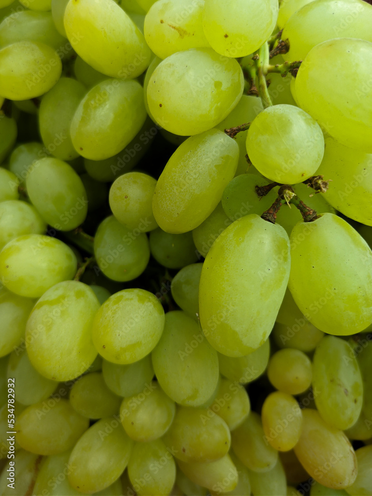 Grapes closeup shot, beautiful background. Grapes closeup shot, beautiful background.