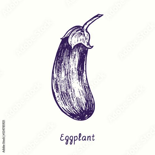 Eggplant whole. Ink black and white doodle drawing in woodcut style