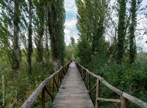 Fototapeta Naklejka Na Ścianę i Meble -  Wooden walkway in a forest in Rome