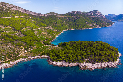 Fototapeta Naklejka Na Ścianę i Meble -  aerial view of a wonderful Mediterranean bay on the peljesac peninsula; paradise beach with turquoise water and rocky coastline with mighty mountains in the background; trstenik in croatia