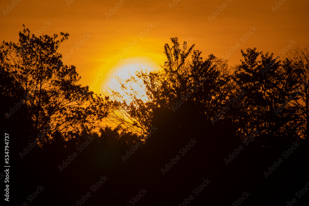 Brazilian Sunset
Very beautiful, the sunsets in brazilian savannah has many colors. Brazilian Sunset
Very beautiful, the sunsets in brazilian savannah has many colors.